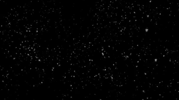 Ağır çekim kar yağışı Bokeh ışıklar siyah arka plan üzerine — Stok video