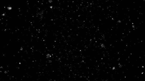Lumières de Bokeh de chute de neige de mouvement lent sur fond noir 
