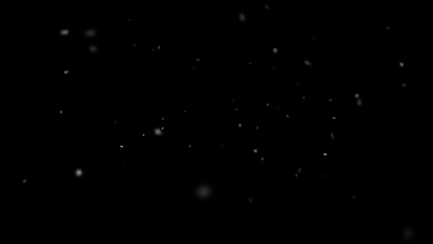 Luci di Bokeh della nevicata di movimento lento sullo sfondo nero, colpo dei fiocchi di neve volanti nell'aria — Video Stock