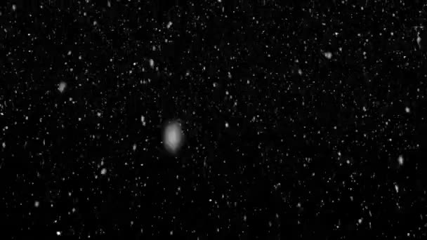 Profondità Astratta Slow Motion Snowfall Bokeh Lights Black Background Shot — Video Stock