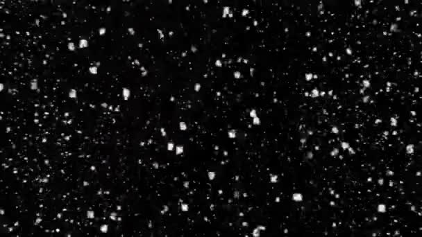 Plusieurs particules de neige tombant sur un fond noir — Video