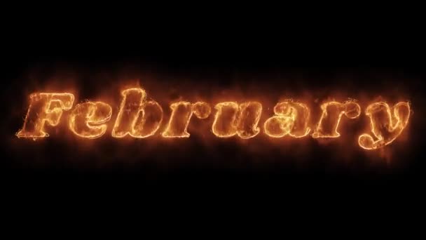 February Word Hot Animated Burning Realistic Fire Flame Loop. — Stock Video