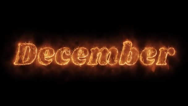 Dicembre Parola caldo animato ardente fuoco realistico Fiamma Loop . — Video Stock