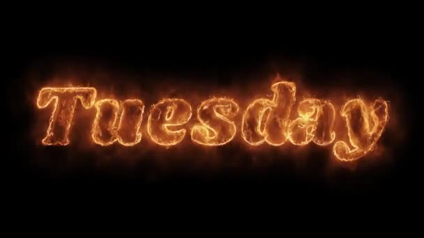 Tuesday Word Hot Animated Burning Realistic Fire Flame Loop. — Stock Video