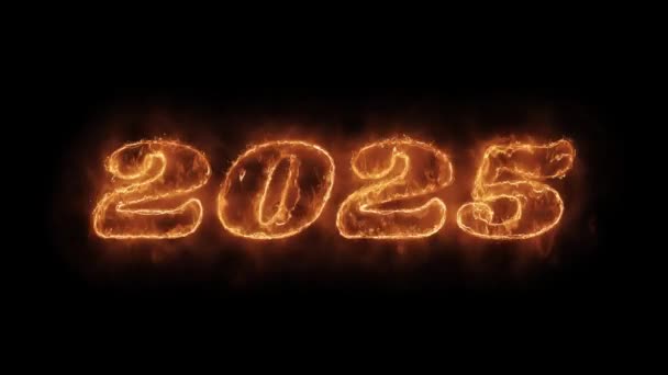 新年 2025 字 热 动画 燃烧 逼真的火焰 火焰 循环. — 图库视频影像