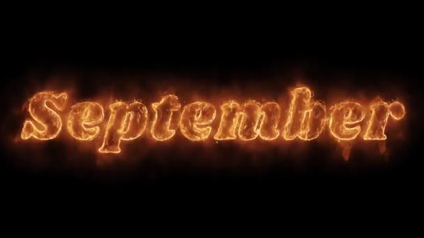 September Word Hot geanimeerde brandende realistische Fire Flame loop. — Stockvideo