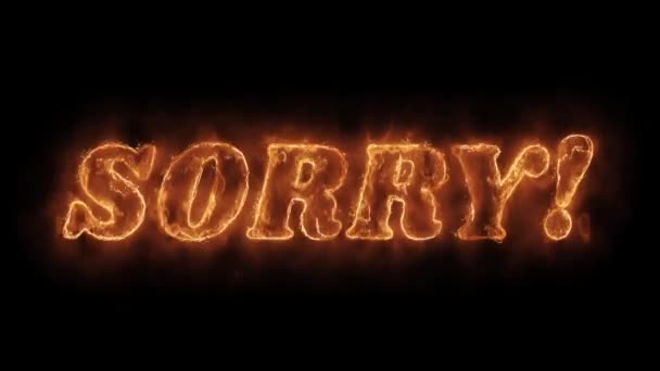 Sorry woord Hot geanimeerde brandende realistische Fire Flame loop. — Stockvideo