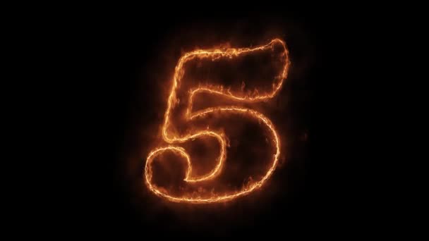 Number 5 Word Hot Animated Burning Realistic Fire Flame Loop. — Stock Video