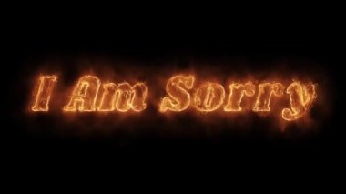 I Sorry Kelime Sıcak Animasyonlu Yanan Gerçekçi Yangın Alev Loop.