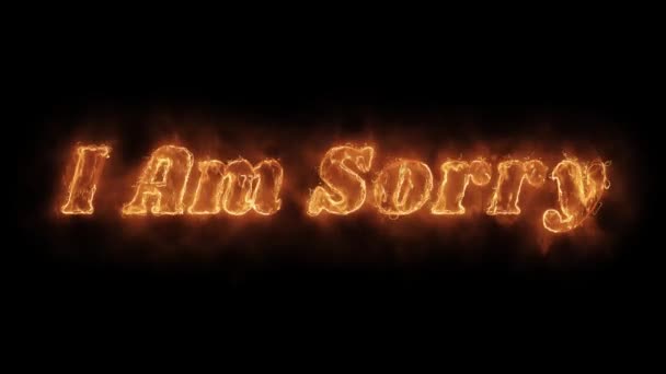 I Am Sorry Word Hot Animated Burning Realistic Fire Flame Loop. — Stock Video