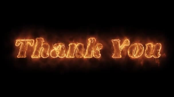 Thank You Word Hot Animated Burning Realistic Fire Flame Loop. — Stock Video