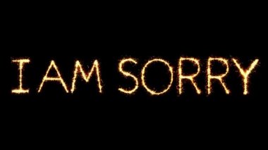 I Sorry Metin Sparkler Glitter Sparks Firework Loop Animasyon