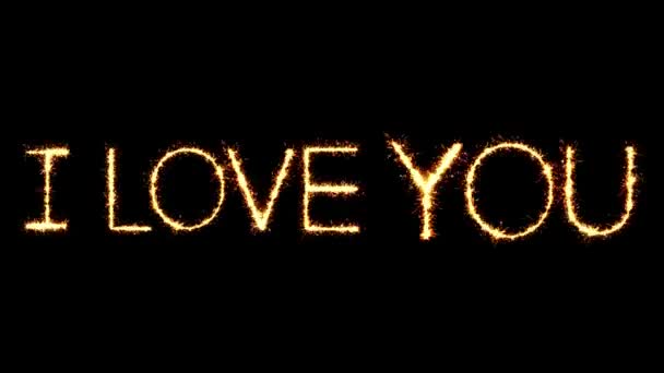 나는 당신을 사랑 텍스트 스파클러 반짝이 불꽃 불꽃 루프 애니메이션 — 비디오