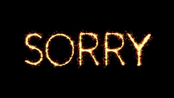 Desculpa texto Sparkler Glitter faíscas fogos de artifício Loop Animação — Vídeo de Stock