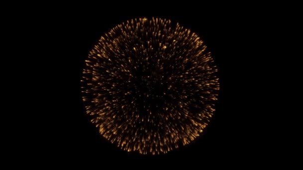 Espetacular exibição de fogos de artifício multicoloridos no céu noturno . — Vídeo de Stock