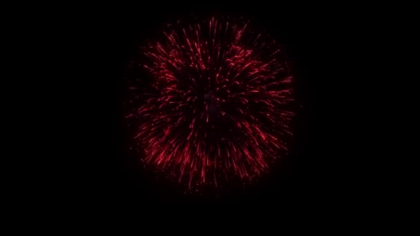 Látványos multicolor tűzijáték jelenik meg az éjszakai égen. — Stock videók