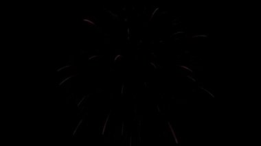 Renkli havai fişekler gece gökyüzünde parlıyor