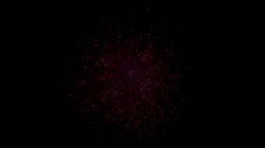 Gerçek Renkli parlayan ışık parlayan havai fişek gösterisi gece gökyüzünde.