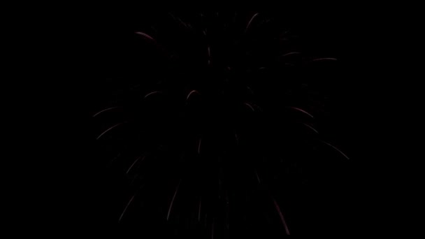 Na noční obloze září pestré ohňostroje — Stock video