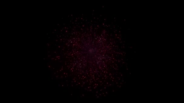 Real színes csillogó fény izzó tűzijáték mutat az éjszakai égen. — Stock videók