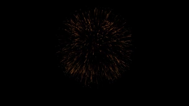 Fuochi d'artificio scoppiare scintilla oro isolato fuoco notturno colorato, bella esplosione — Video Stock