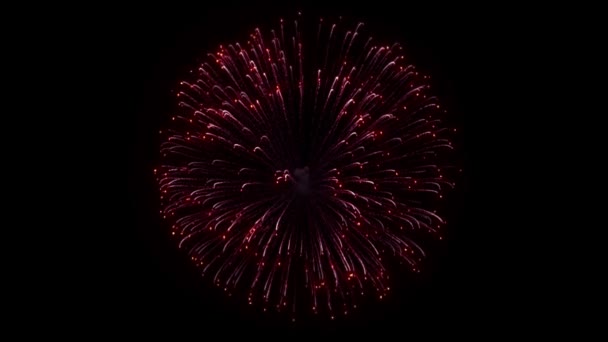 Firecracker esplosione particelle fuoco d'artificio Visualizza sfondo . — Video Stock