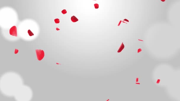 Beau romantique rouge rose pétales de rose Confetti Fond de boucle tombante Écran vert. — Video