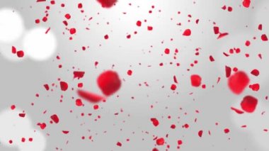 Sakura ya da kiraz çiçeğinin pembe romantik yaprakları. Döngülü 4K hareket bahar çiçeği grafik yeşil ekran.