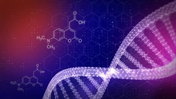 Gesundheitswesen und Wissenschaft medizinisches DNA-Innovationskonzept Schleife Hintergrunddesign. — Stockvideo