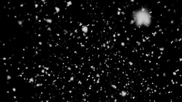 Abstrakt Fallen Winter Schnee nahtlose Schleife Animation Green Screen Alpha. — Stockvideo