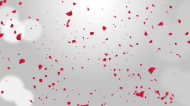 Sakura yaprakları dökülüyor. Romantik Pembe Çiçekler Düşen Yağmur Döngüsü Yeşil Ekran.