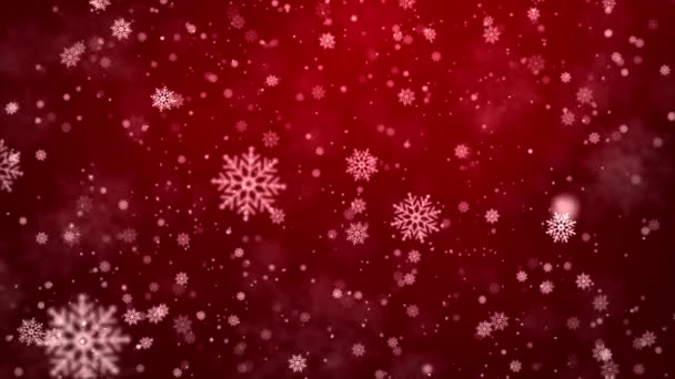 Vackra glödande blinkande bokeh och snöfall stjärna färgglada partiklar loop bakgrund — Stockvideo
