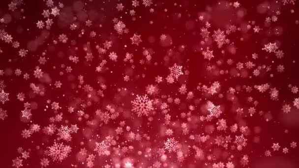 Vánoce padající sníh červená izolované na čisté smyčky pozadí. — Stock video