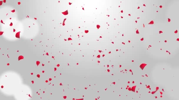Okvětní lístky Sakury padají. Romantické růžové červené květy Padající déšť smyčka pozadí zelená obrazovka. — Stock video