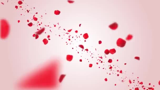 Pétalos de rosa Flores de cerezo rojo o rosa Blizzard Flying Loop Fondo Pantalla verde. — Vídeos de Stock