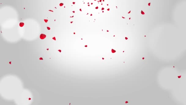 4k video de Red Rose Petals cayendo lazo fondo pantalla verde. — Vídeo de stock