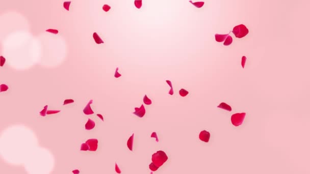 Schöne romantische rot rosa Rosenblütenblätter Konfetti Falling Loop Hintergrund Green Screen. — Stockvideo