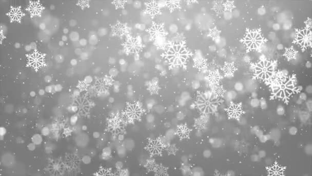 Particelle di neve animate che cadono splendidamente su uno sfondo bianco di Natale invernale — Video Stock