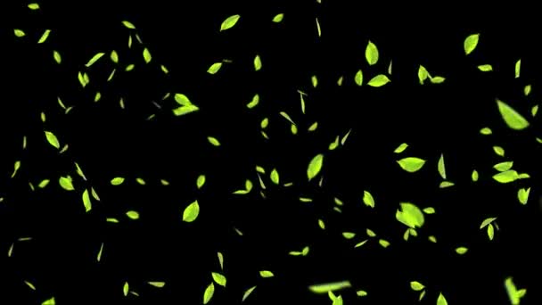 3D 4K Animacja liści mięty Falling flow motion Pętla Animacja fragmentów gruzu, Spring green — Wideo stockowe
