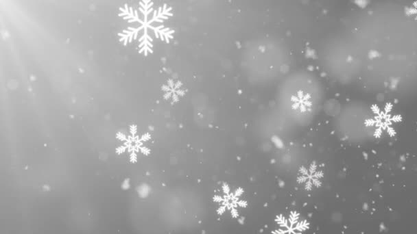 4k Vita konfetti snöflingor och bokeh lampor på White loop Animation — Stockvideo