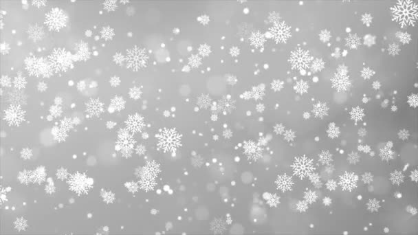 Weihnachten fallen Schnee Weiß isoliert auf Clean Schleife Hintergrund. — Stockvideo