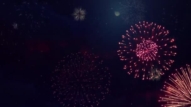 Kembang api di Sky Diwali Festival kebahagiaan cahaya. fire crackers Explosion Loop Background. — Stok Video