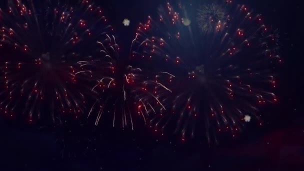 나이트 스카이 루프 애니메이션 백 그라운드에서 폭발하는 화려 한 불꽃놀이. 축하 행사. — 비디오