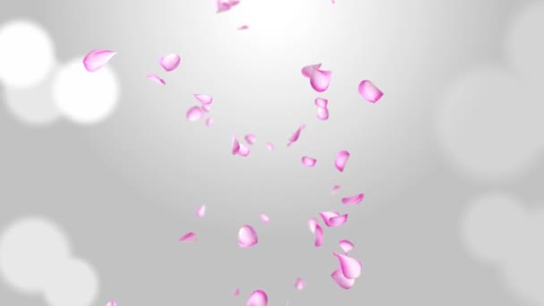 別々のピンクの桜のバラの花びらがオーバーレイのための緑の画面を落下. — ストック動画