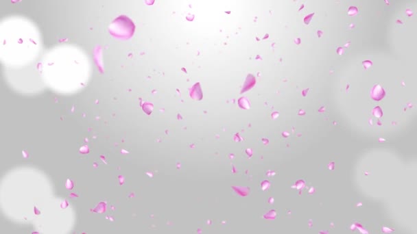 Pink sakura Falling Petals Loop Background 3D Green Screen. — Stock Video