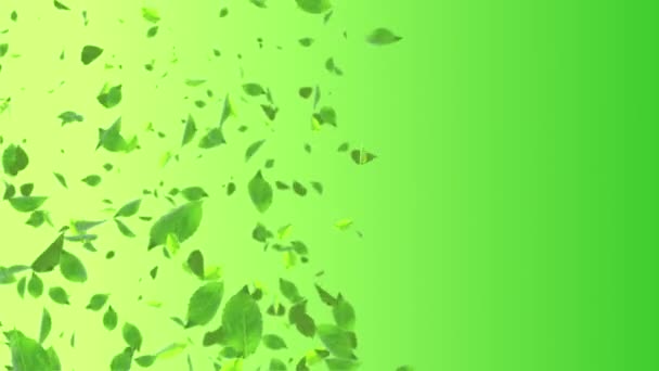 Fundo da natureza ensolarado com verde natural deixa luzes solares. Loop 4K animação gráfica movimento. — Vídeo de Stock