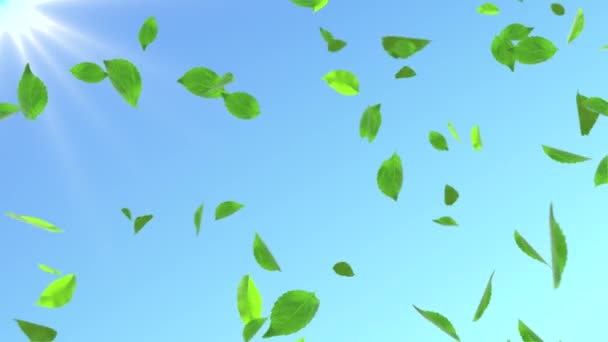 Propre douce Nature boucle Arrière-plan Animation. Feuilles vertes volantes sur Blue Sky Sun Rays. — Video