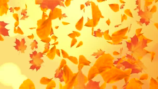 Abstrait Feuilles d'automne d'érable colorées feuilles d'automne fond de boucle Alpha — Video