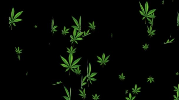 Bella verde foglie di cannabis Loop sfondo foglia realistico 3D Alpha loop canale Animazione. — Video Stock