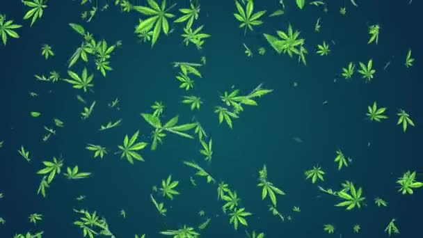 3D Feuilles de cannabis Rotation des feuilles de marijuana volant sur fond bleu et alpha Boucle 4K. — Video